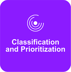 ASM Classification and Prioritization icon